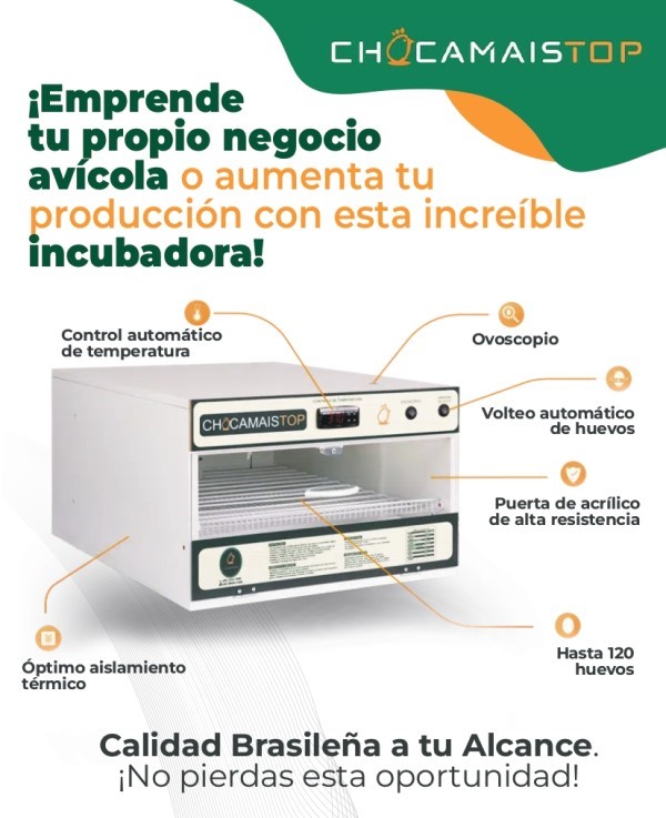 incubadora de huevo en bolivia